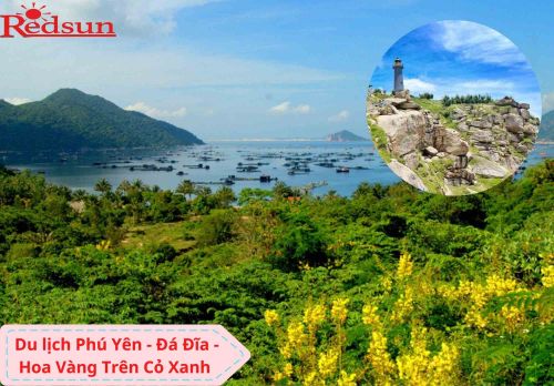 Du lịch Phú Yên – Ghềnh Đá Đĩa – Hoa Vàng Cỏ Xanh 3 ngày 2 đêm