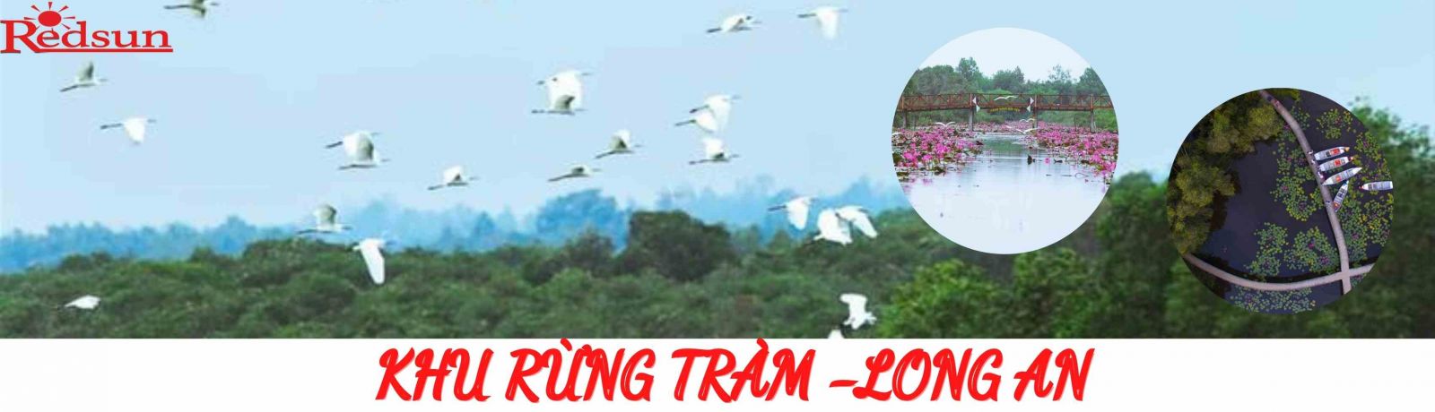 du- lich- rung -tram -tai-long -an - 01- ngay-cung-red-sun