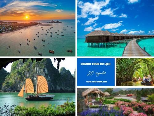 Nâng tầm tinh thần đội ngũ với combo tour du lịch cho công ty 20 người mùa hè