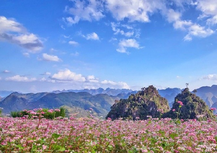 du_lich_kham_pha_ha_giang
