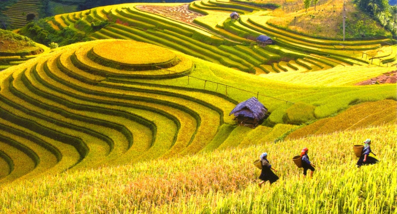 di_tour_tu_ha_noi_den_mai_chau