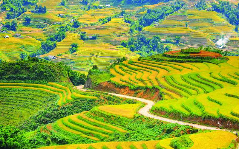di_tour_tu_ha_noi_den_moc_chau